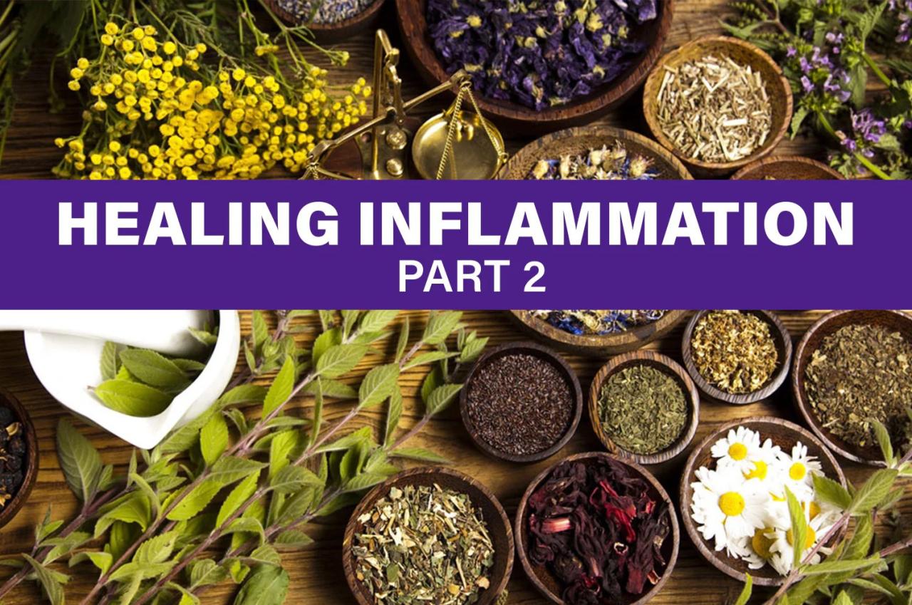 Your natural solution to fight inflammation! – Herbal Code Labs Nutrition